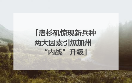 洛杉矶惊现新兵种 两大因素引爆加州“内战”升级